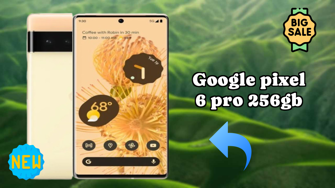 Google Pixel 6 Pro 256GB Price Analysis: ₹30,999 Good Investment?