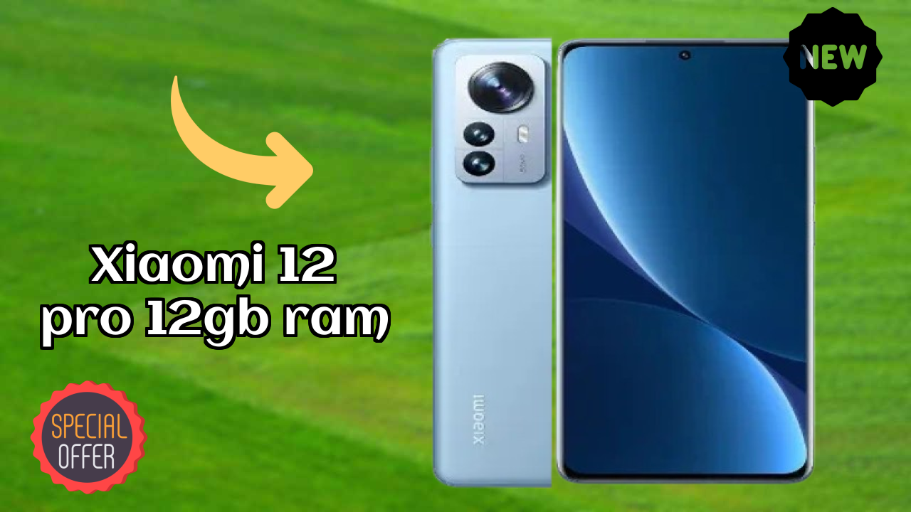 Xiaomi 12 Pro 12GB RAM Display Size: 6.73 Inches (17.09 Cm) Screen Test